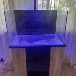 40 gallon with external filtration system. Set up includes everything for salt water tank. Rocks, cleaning supplies, food, nets, led lights. 