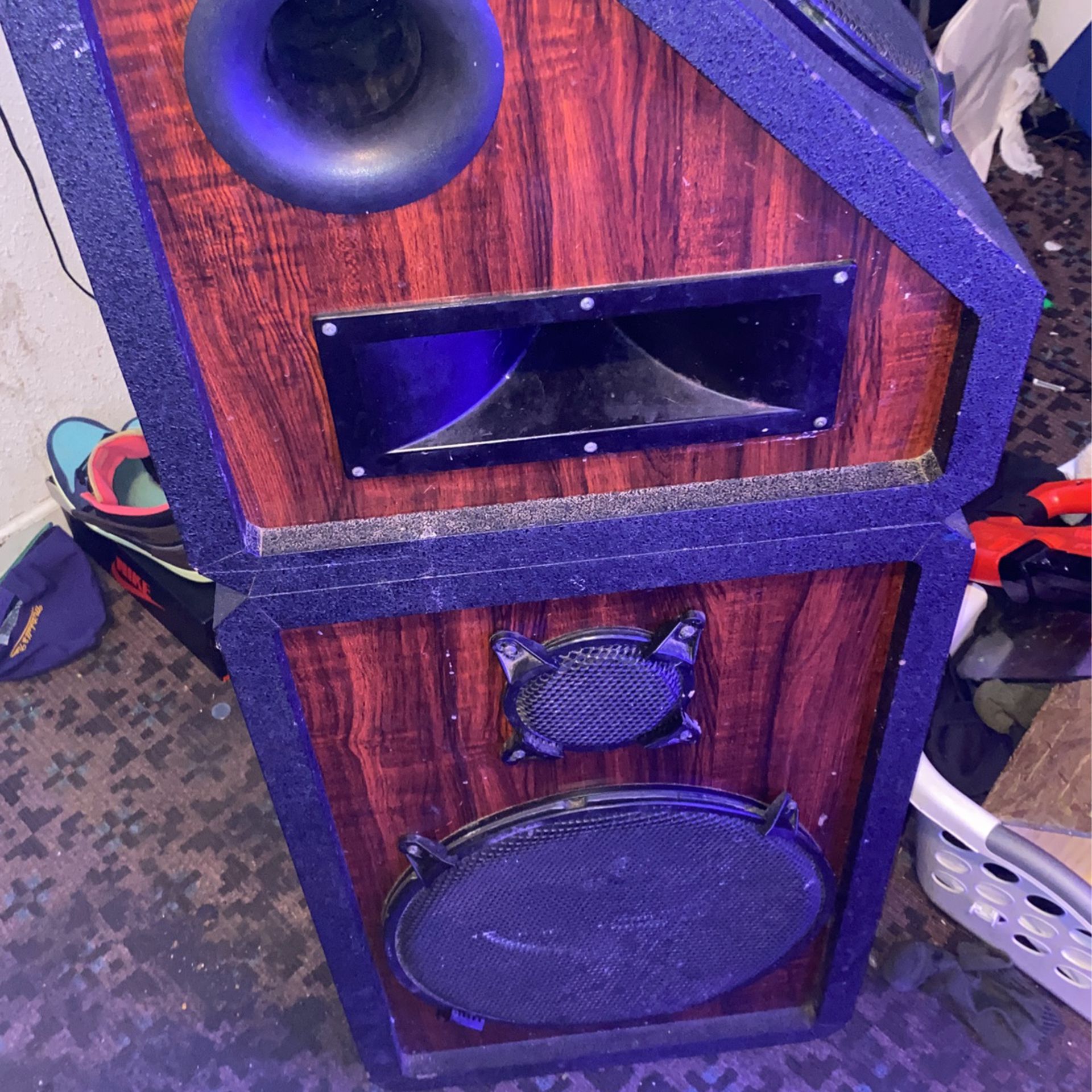 Pro Studio Speakers Set 