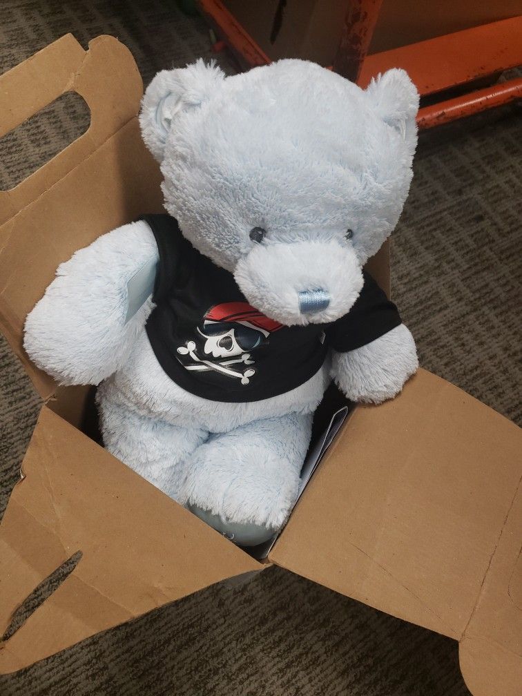 Build A Bear Teddy 