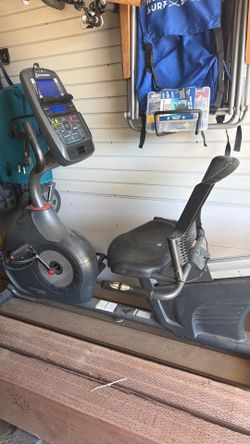 Schwinn 270