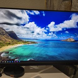 Lenovo ThinkVision T24i-20 24" Full HD Monitor