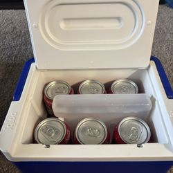 Small Igloo Cooler Lunch Box