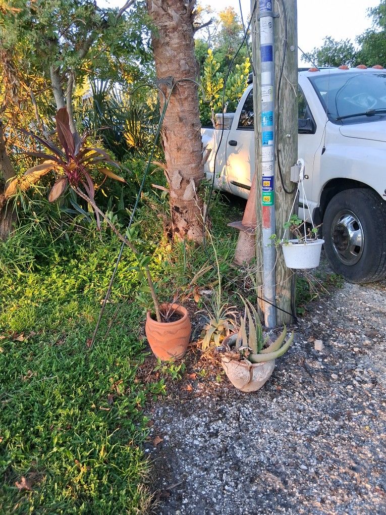 2 Clay Pots With Plants Double Heavy Duty Shepards Hook Plus Air Plant And Hanging Plant 