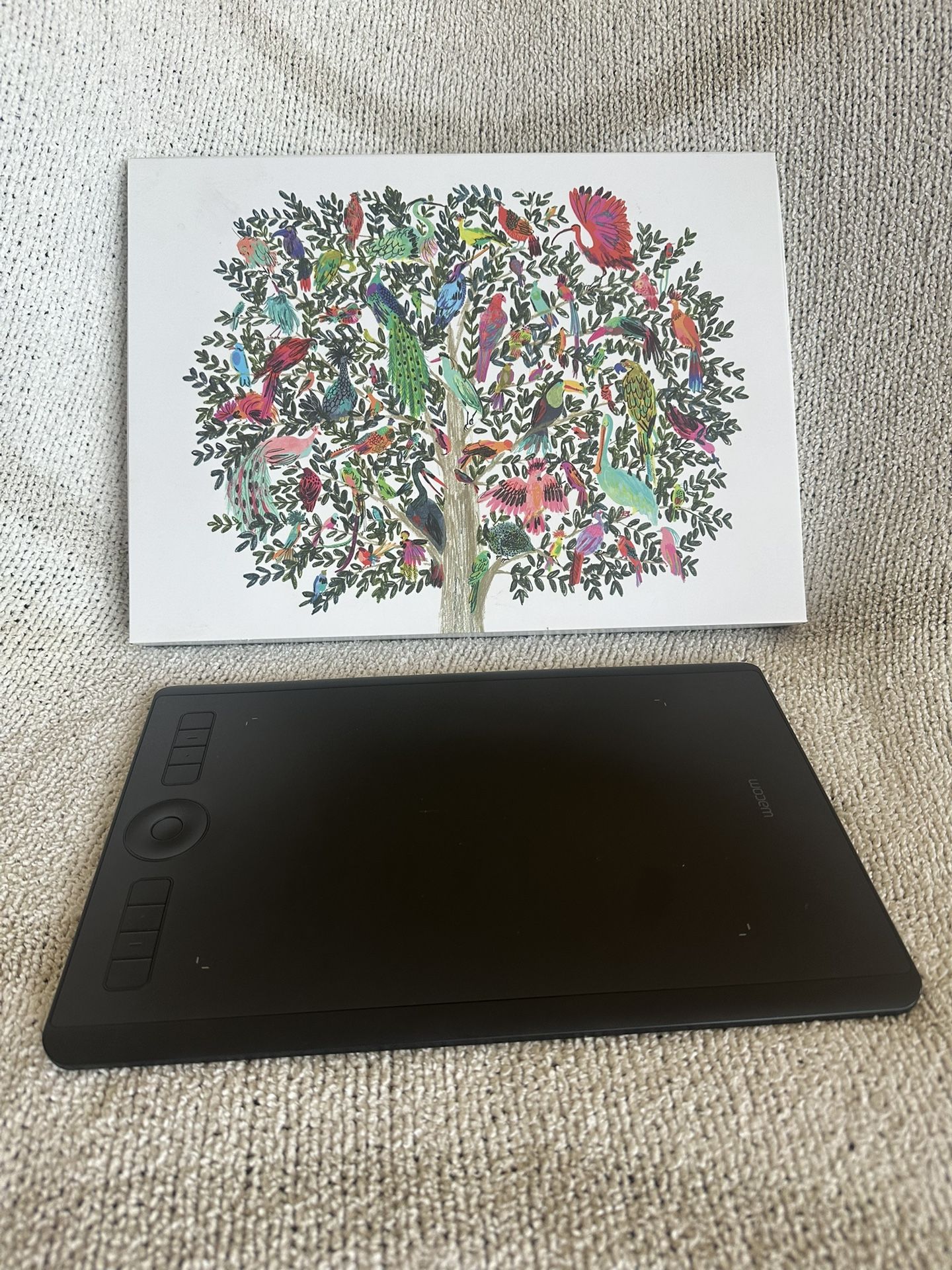 Wacom Intuos Pro Drawing Tablet