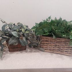 Assorted Artificial Plants (Your Choice $15 EACH)