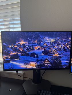 25” Gaming Monitor