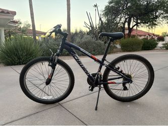Schwinn Ranger kids mountain bike