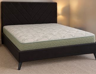 Beutiful dark brown Queen bed with good mattress