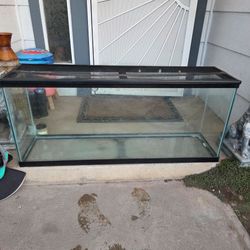 55 Gallon Reptile Terrarium!