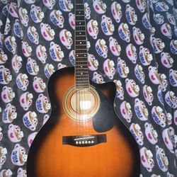 Rogue Electric Acoustic Guitar 