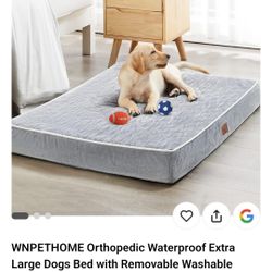 XL Orthopedic Dog Bed
