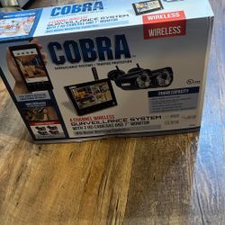 Cobra surveillance system