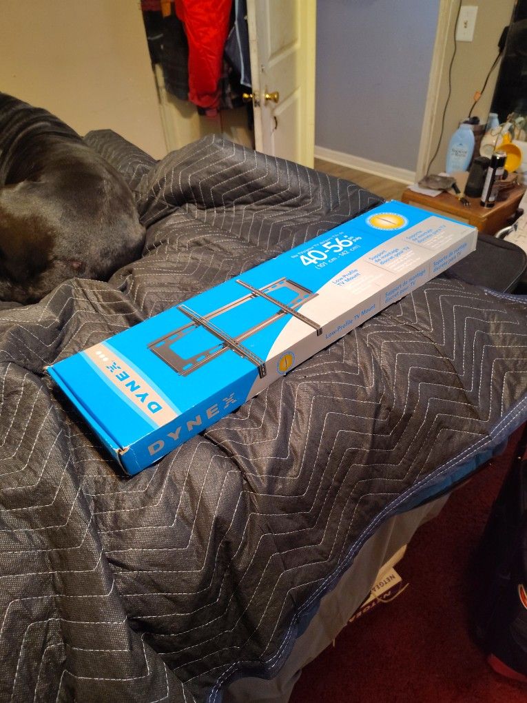 DYNEX T.V. MOUNT