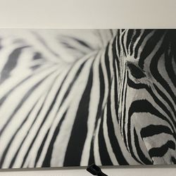 Zebra’s Canvas 