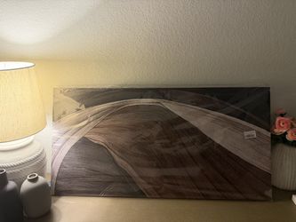 Brand New 20” x 40” Abstract Brown Canvas Wall Art – Modern Home Decor
