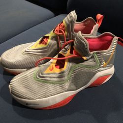Lebron Nike ZM Air Forefoot M13