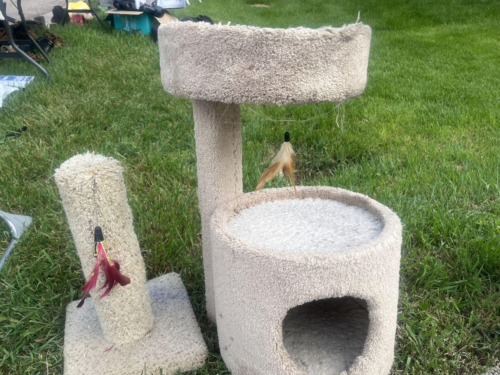 Gatos