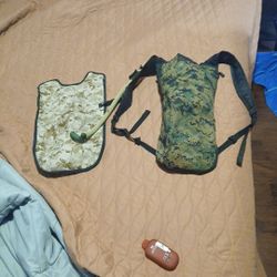 Camel Back