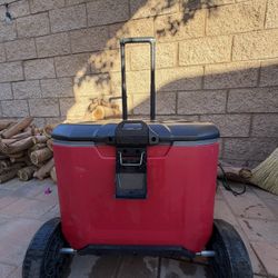 Coleman Cooler
