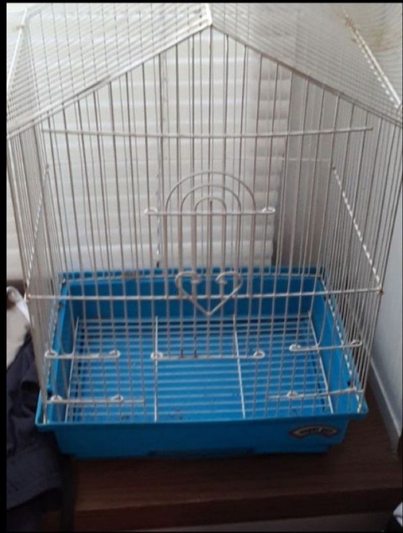 Bird cage and Dog cage