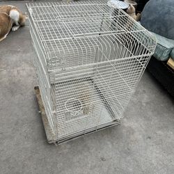 Bird Cage 