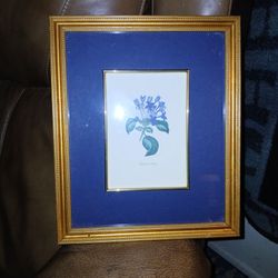 Framed pictures
