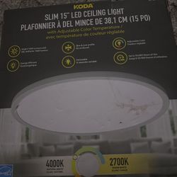 Free Ceiling Light