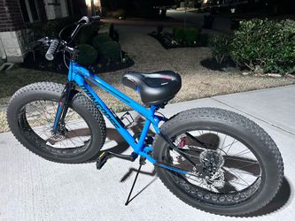 Ladies 24 inch fat tire bicycle