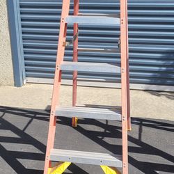 Werner 6ft Ladder
