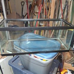 Reptile Aquarium 
