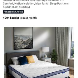 Full size Hybrid actress, BURFLY1977 brand open box