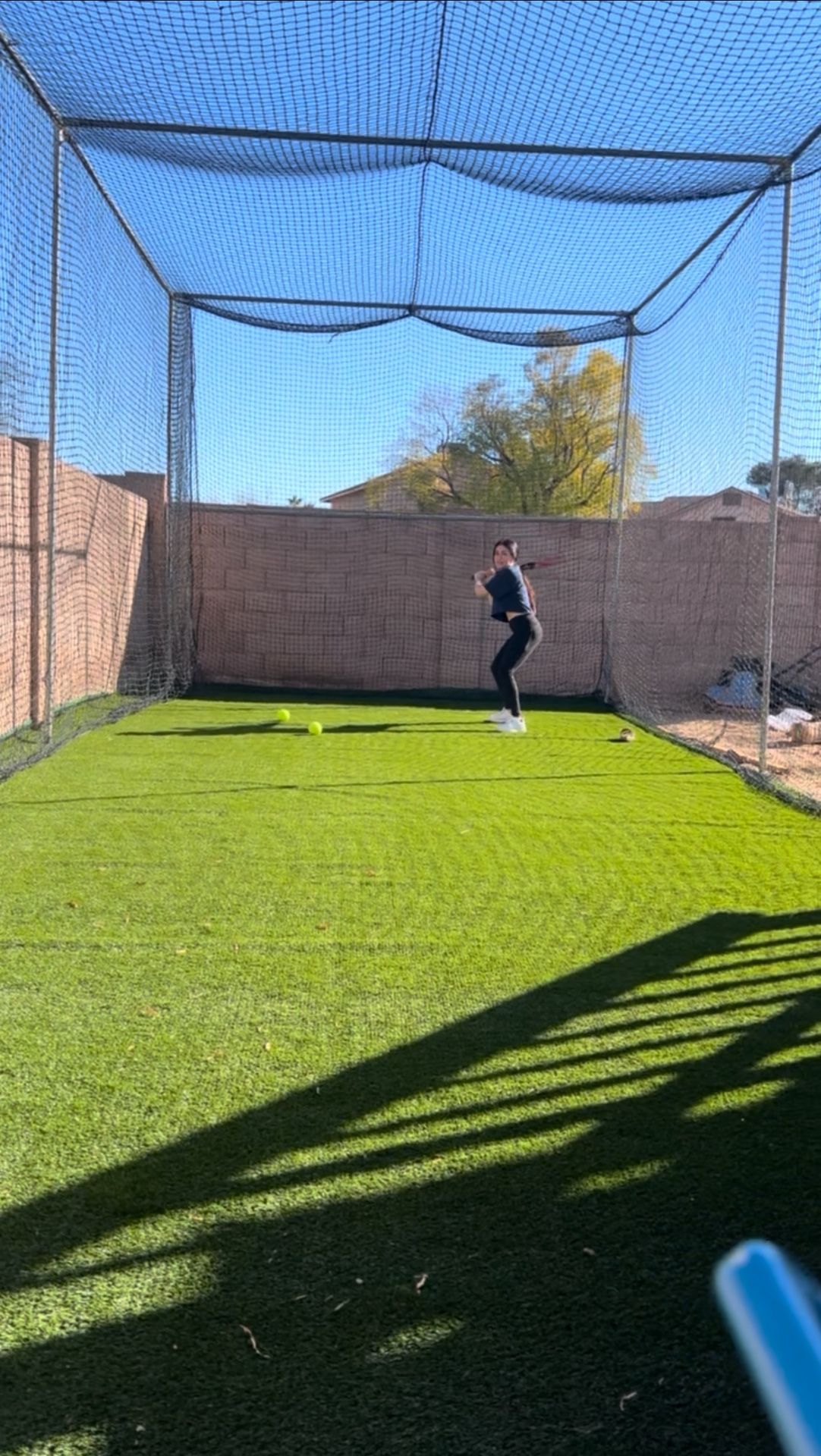 Professional Batting Cage 40x10x15 - No Holds First With Cash