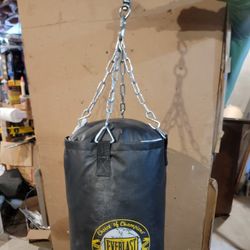 Everlast 80 Pound Heavy Bag