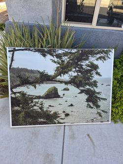 NorthWest Coast Wall Hanging