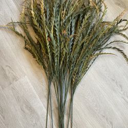 14 Decoration Branches 