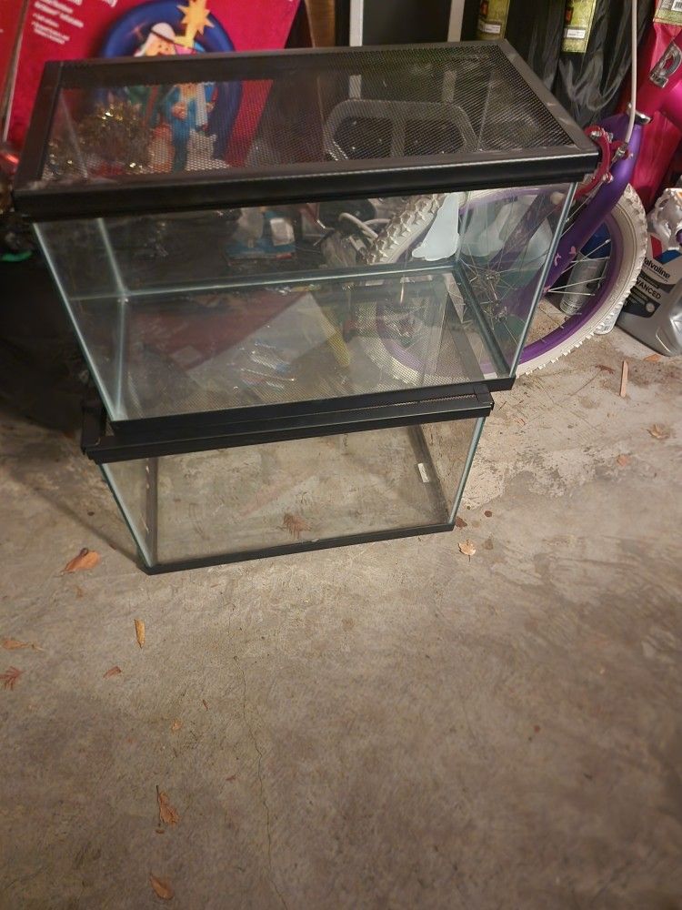 Fish Tank