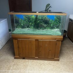 55 Gallon Aquarium 