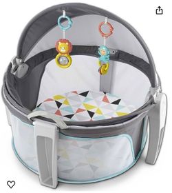 Fisher Price Baby Dome