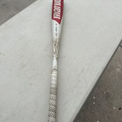 Marucci Cat 8 - Drop 5- 31-26