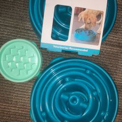 Slow Eater For Dogs 