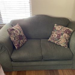 Large Sofa and Love Seat Sofa for 50 Dollars 