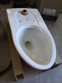 Wall hung toilet - see details