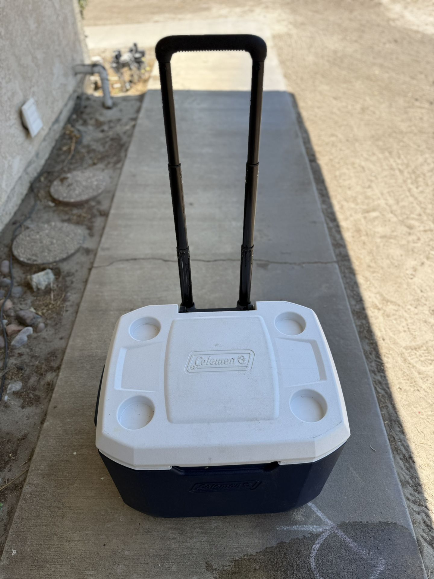 Coleman Cooler