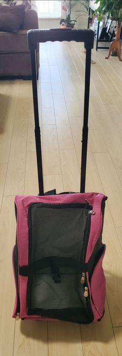 Pet Airline approved carrier