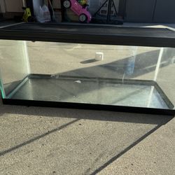 Fish/Reptile Tank