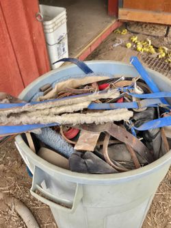 Horse tack / combs/ saddle stands
