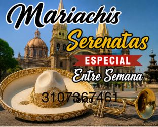 Violines vihuelas de mariachis
