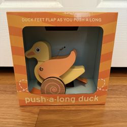 Push Along Duck