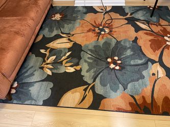Area Rug and Runner