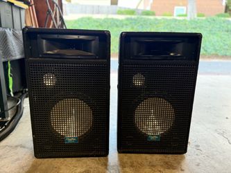 Digital Audio 12” DJ speakers